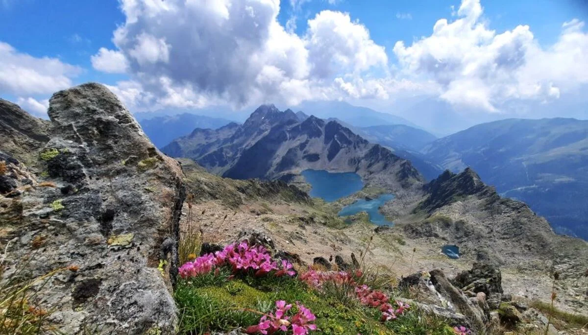 © Schobergruppe