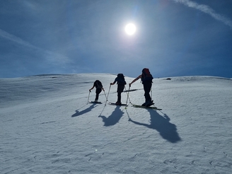 Bild 30 Synphonie in weiss