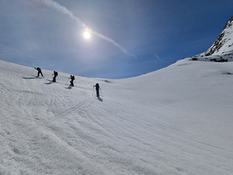 Bild 31 Synphonie in weiss 2