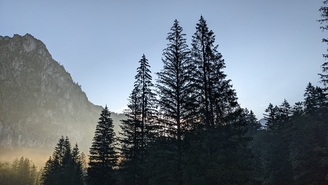 PXL 20220903 050559663