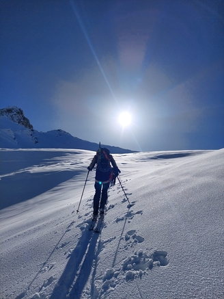 619e8008 9659 4d54 a380 8a3ef3f6d14a