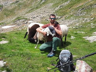 Abstieg nach Innergschloess mit Schafen   Kopie