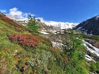 Sonnenschein war nicht immer    Kopie