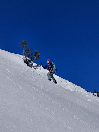 ef628980 c4b5 4450 a0fe e9eedaea47eb